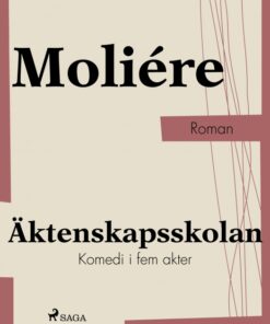 Ãktenskapsskolan (E-bog)